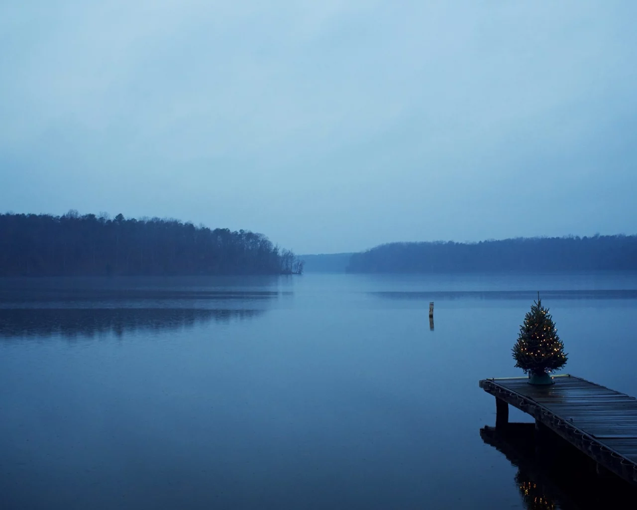 Christmas, trees, blue, , water