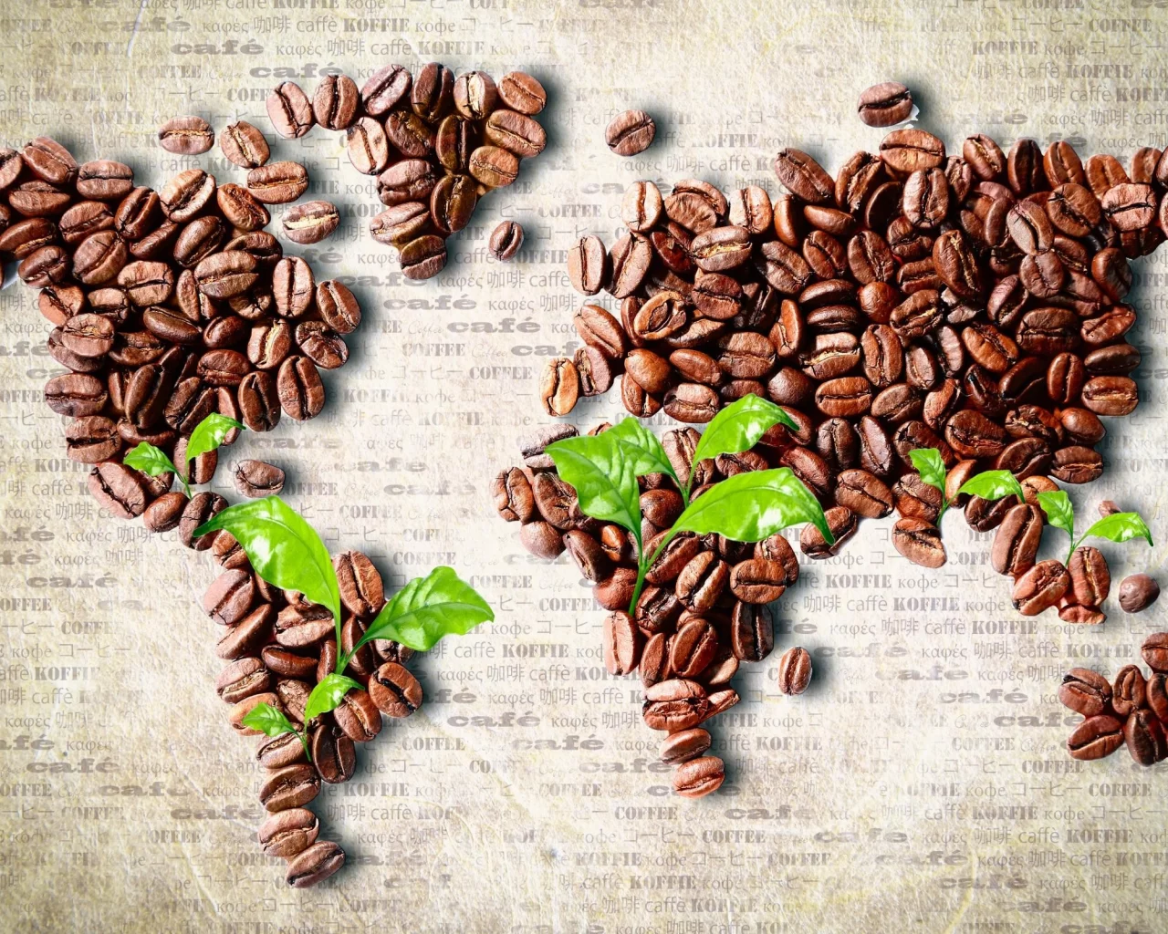 coffee beans, Листья, кофе в зернах, leaves, карта мира, continents, континенты, world map