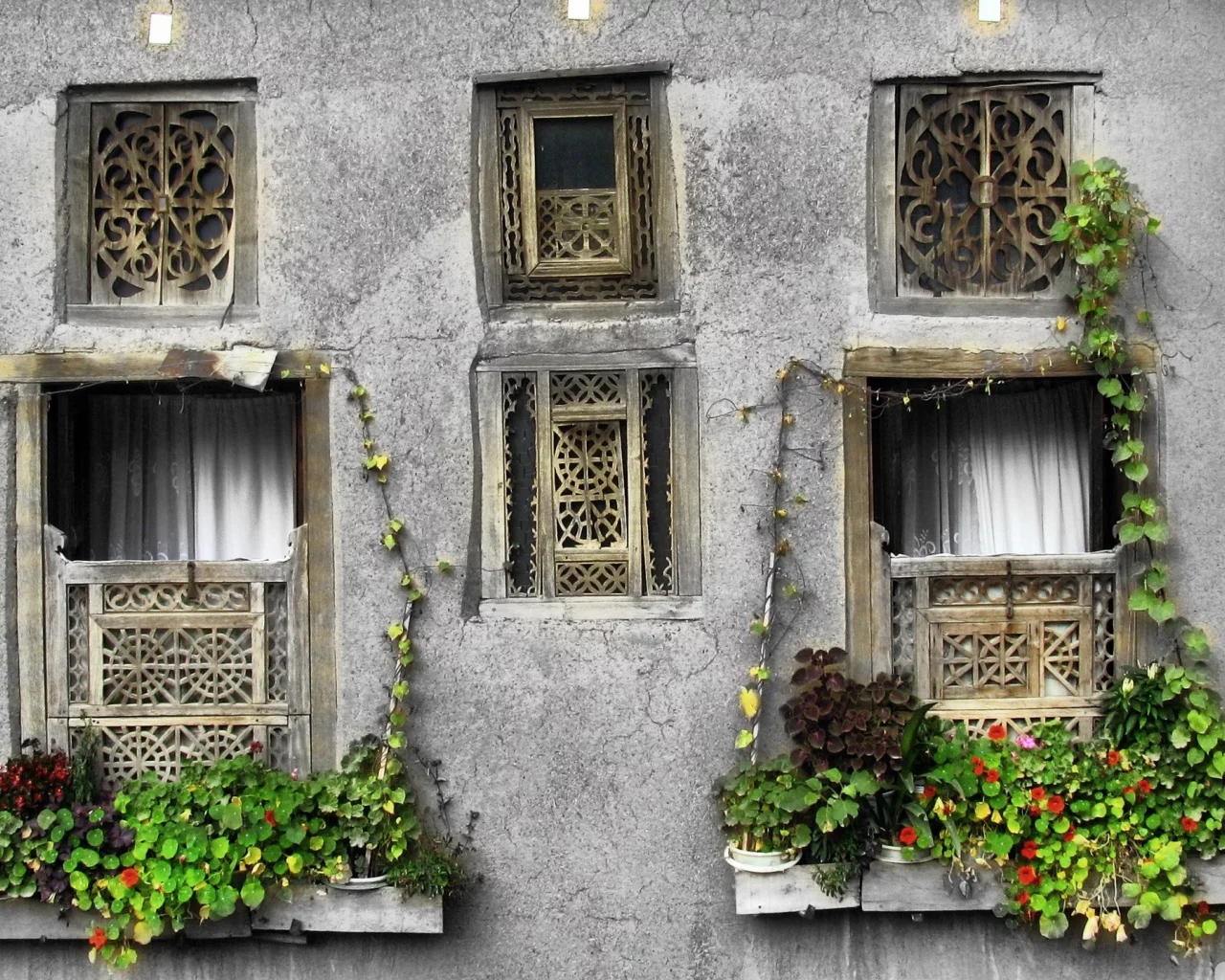 окна, Iran, Иран, windows