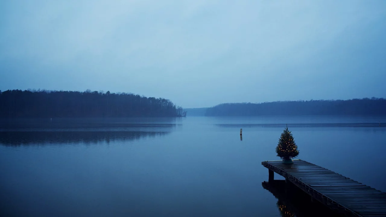 Christmas, trees, blue, , water