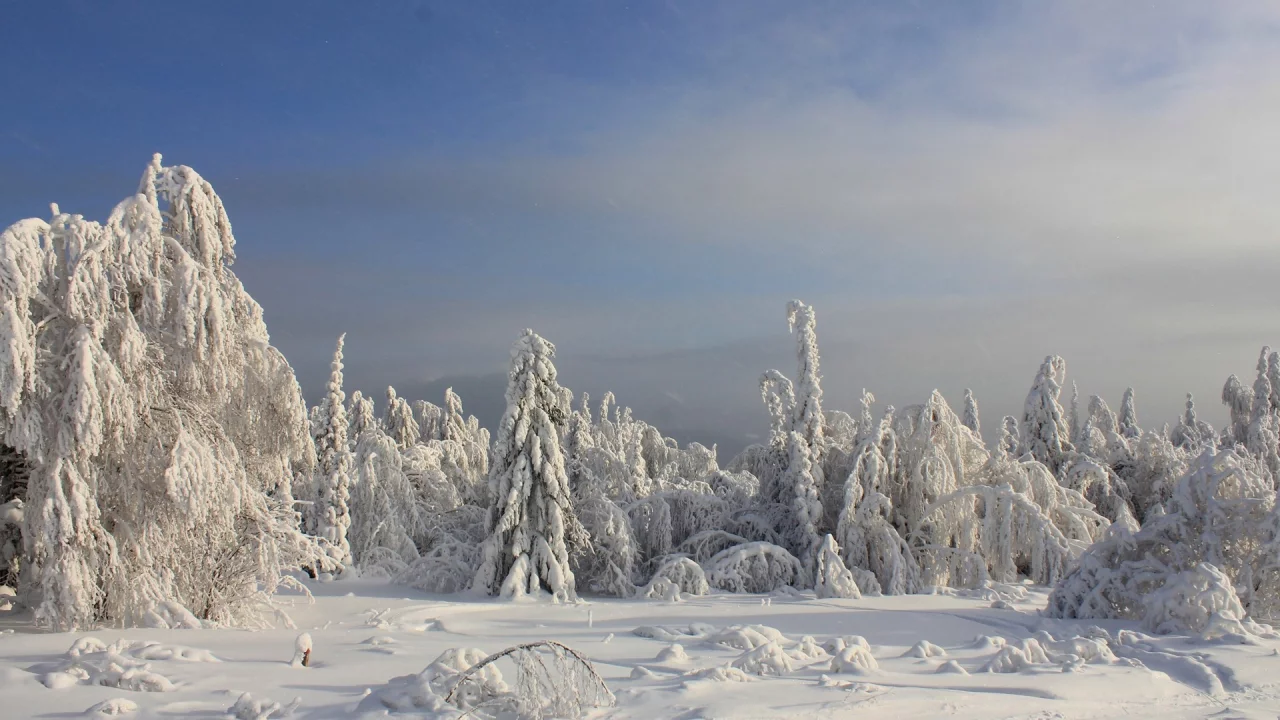 nature, природа
