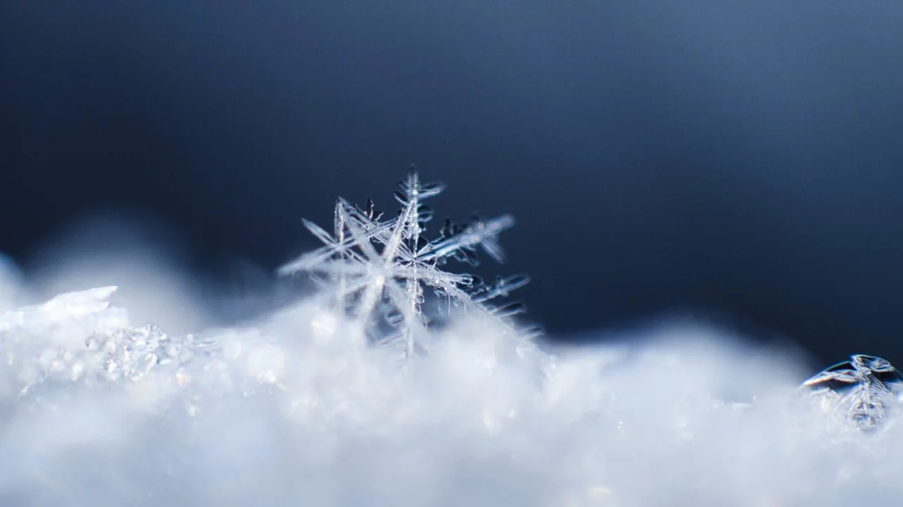 macro, снежинки, snow, зима, winter, макро, снег, snowflakes