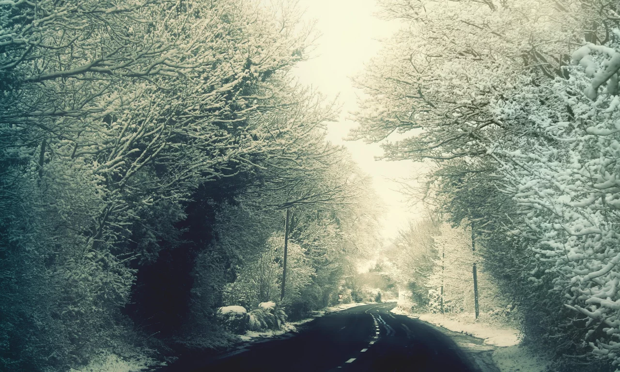 winter, forest, snow, memories, , nature, trees, woods, roads, George Harrison