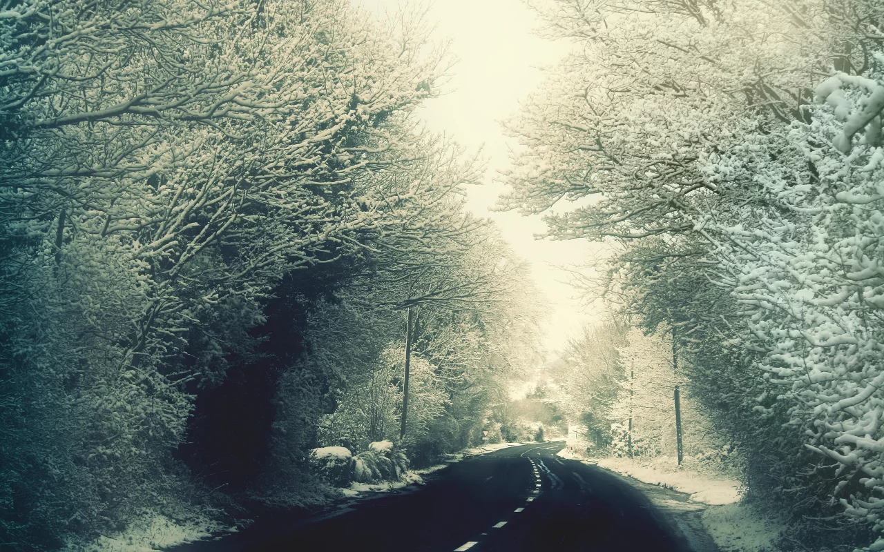 winter, forest, snow, memories, , nature, trees, woods, roads, George Harrison