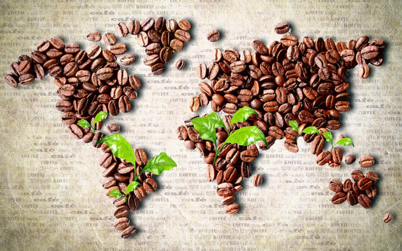coffee beans, Листья, кофе в зернах, leaves, карта мира, continents, континенты, world map