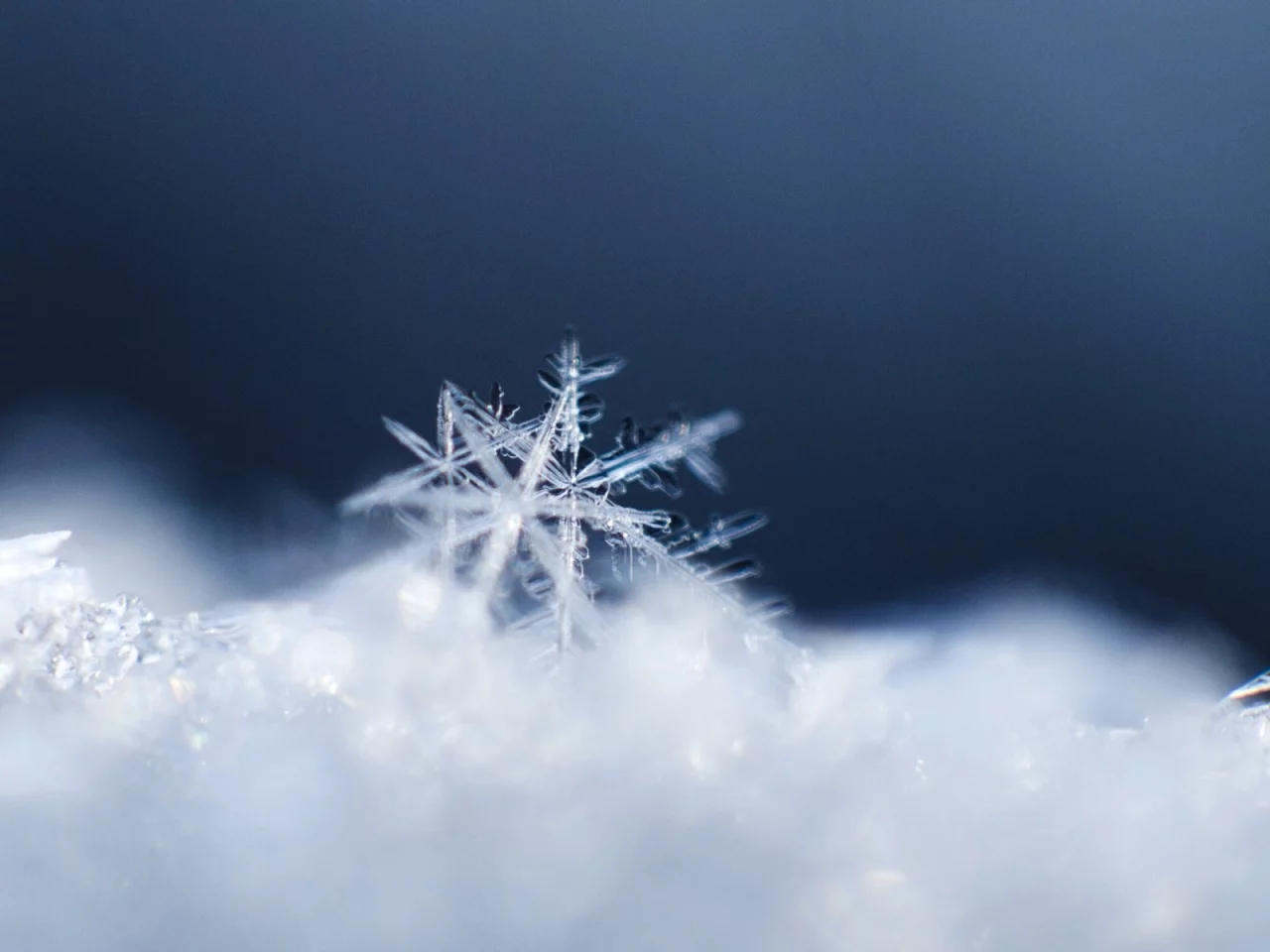 macro, снежинки, snow, зима, winter, макро, снег, snowflakes