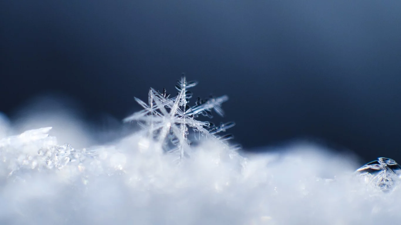 macro, снежинки, snow, зима, winter, макро, снег, snowflakes