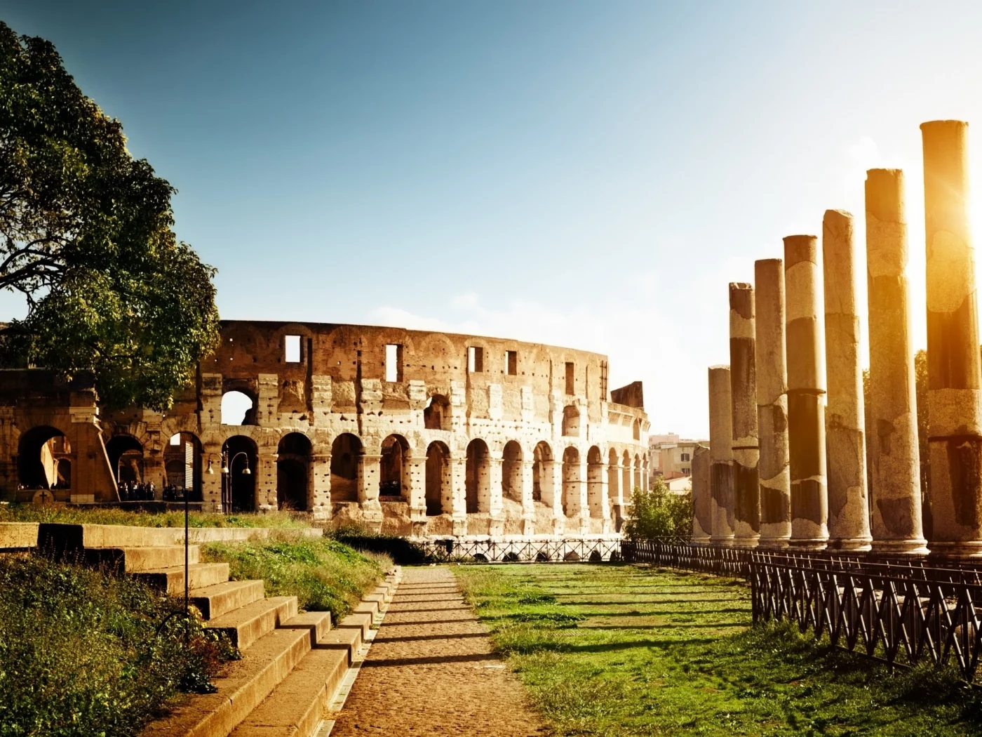grass, Италия, trees, трава, деревья, Italy, Колизей, nature, architecture, природа, Colosseum, Rome, архитектура, Рим