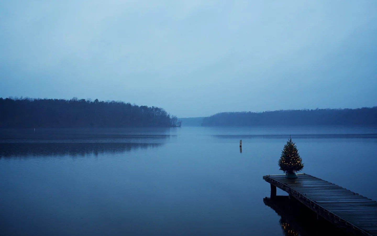Christmas, trees, blue, , water