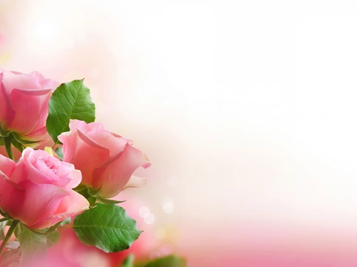 , flowers