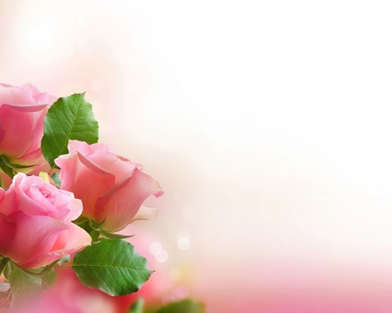 , flowers