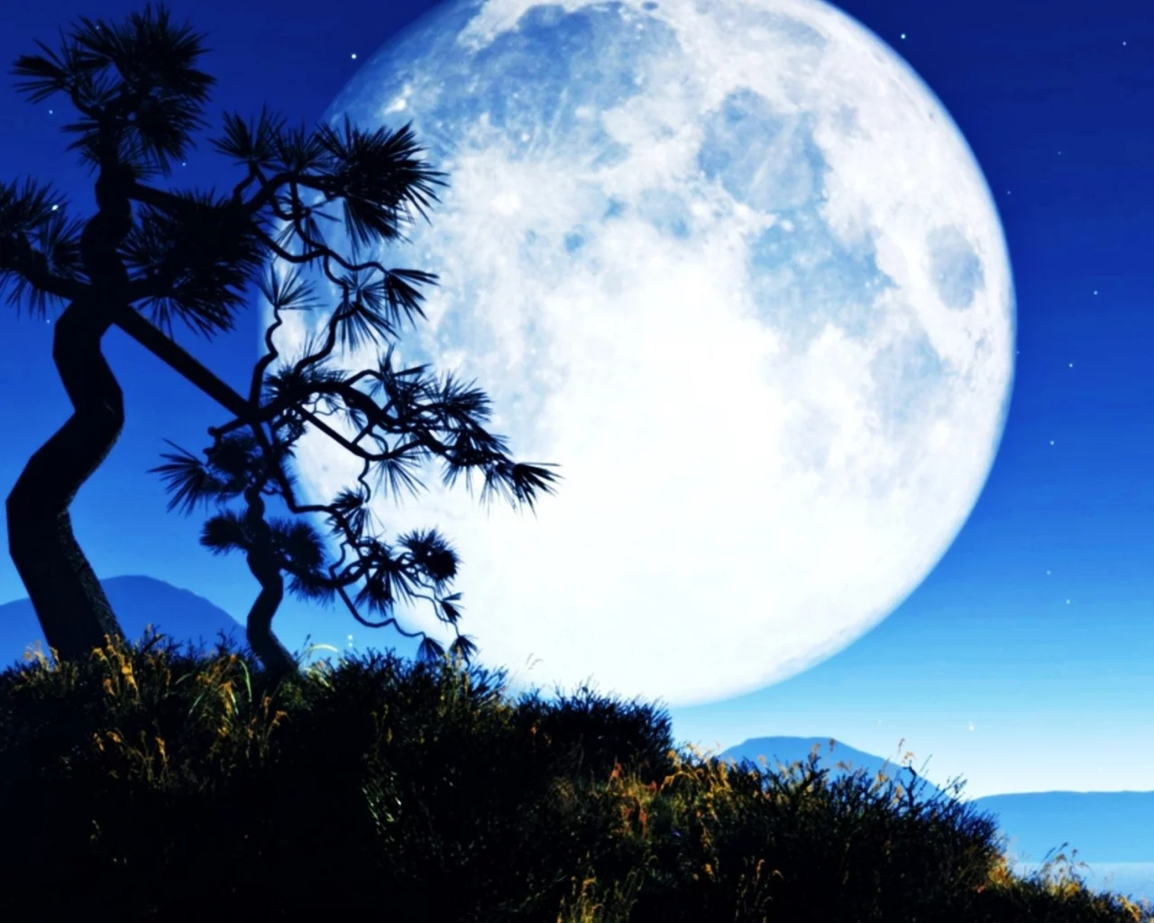 ночь, луна, Moon, trees, night, деревья