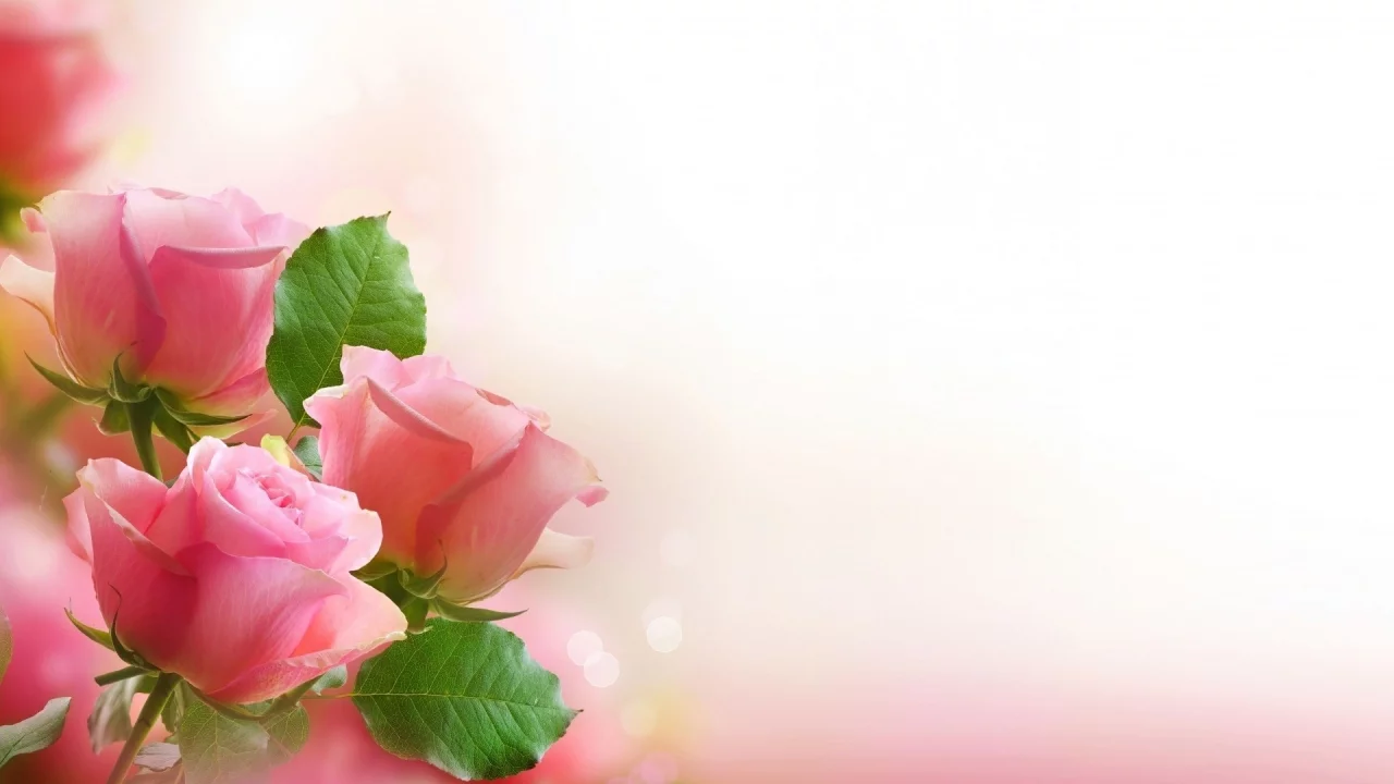 , flowers