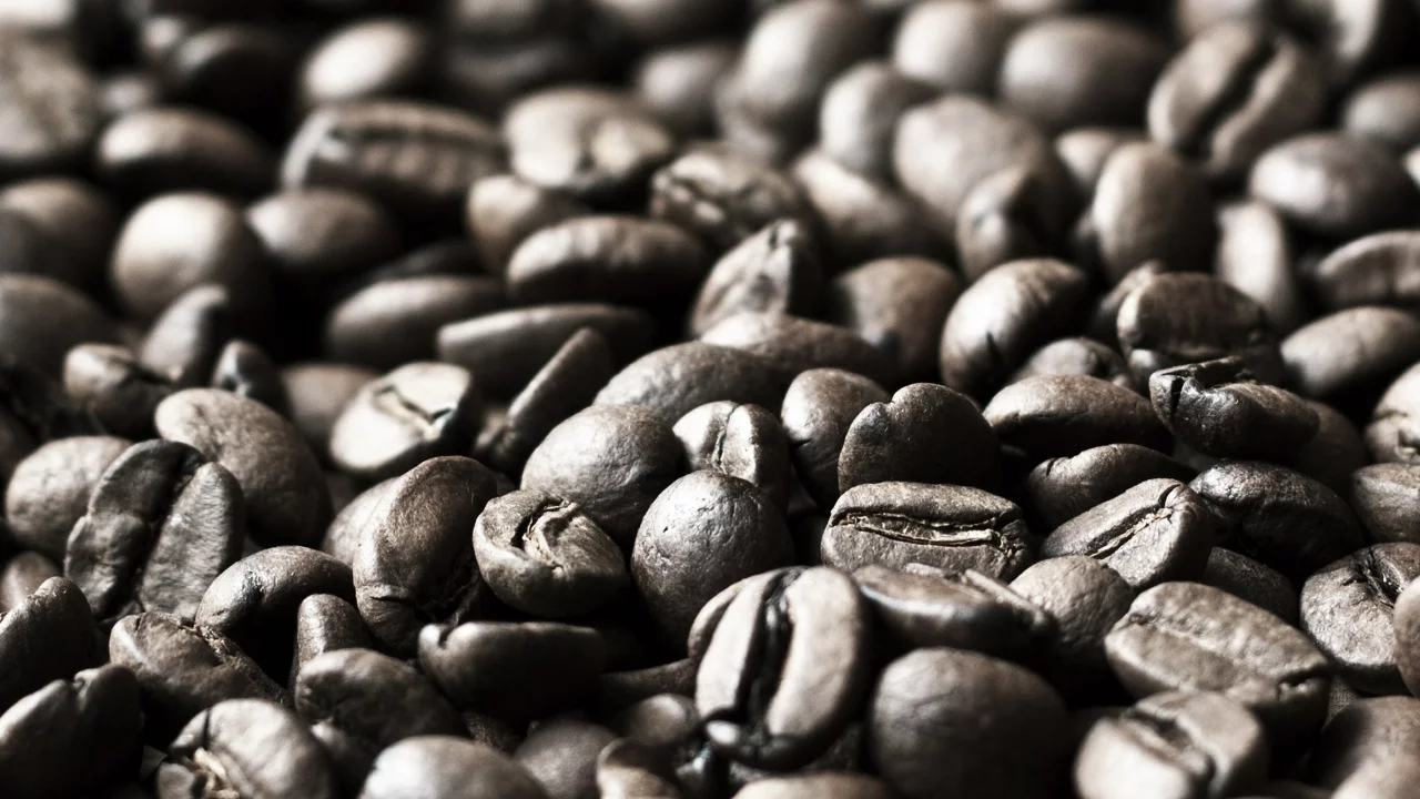 coffee beans, кофе в зернах