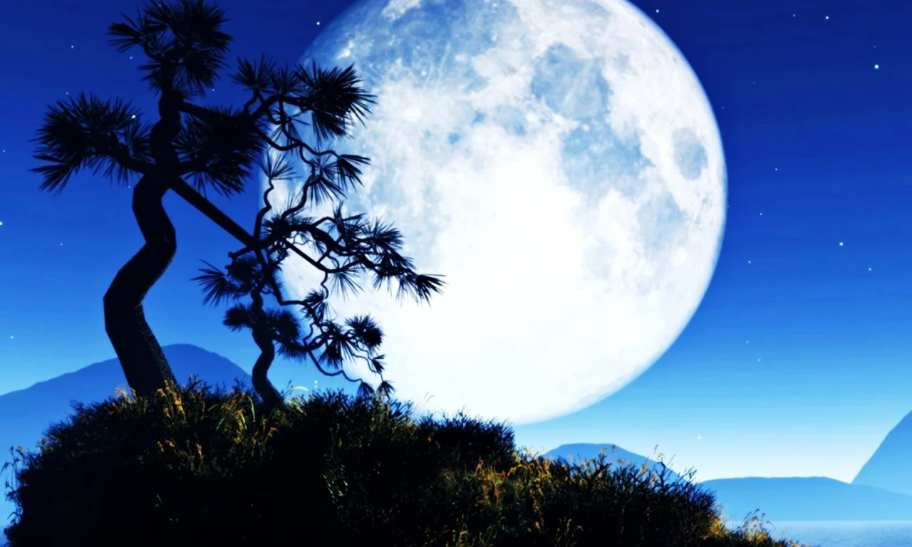 ночь, луна, Moon, trees, night, деревья