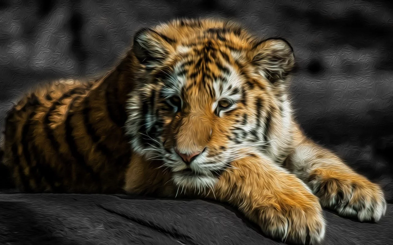 animals, tigers, stripes, животные, fur, big cats, большие кошки, мех, цвета брызги, color splash, полосы, тигры