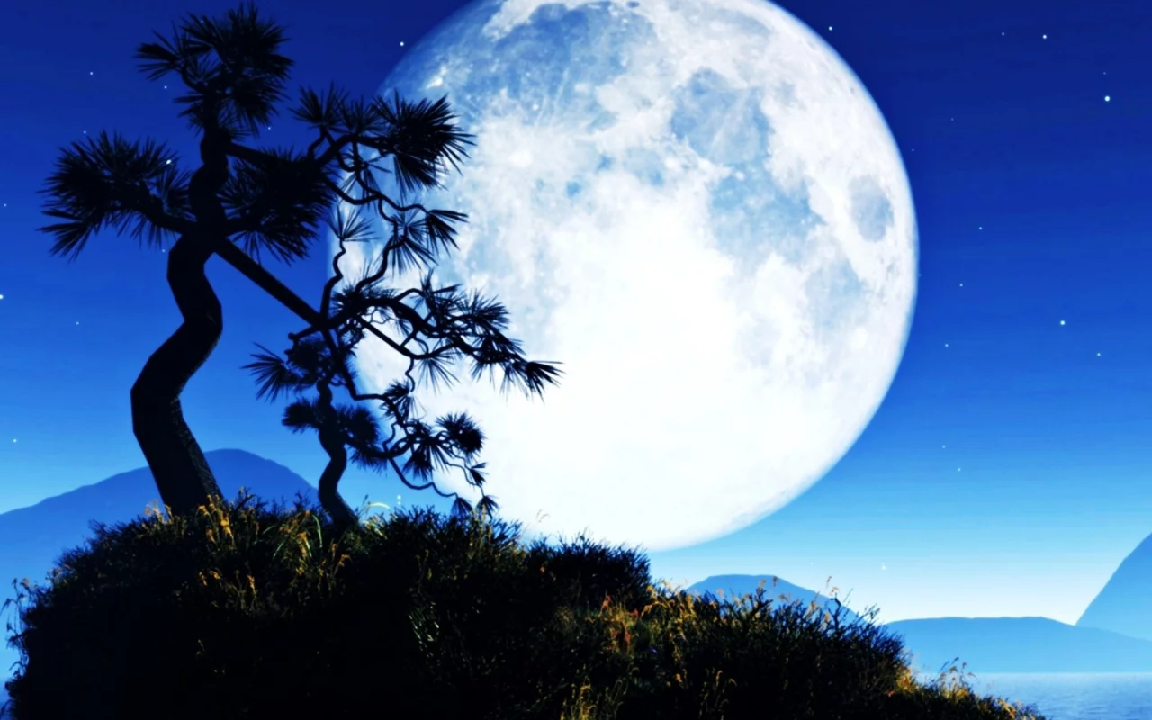 ночь, луна, Moon, trees, night, деревья