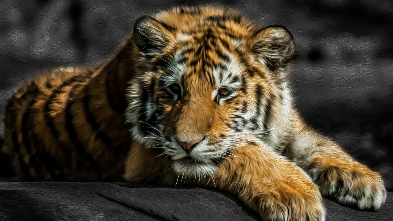 animals, tigers, stripes, животные, fur, big cats, большие кошки, мех, цвета брызги, color splash, полосы, тигры