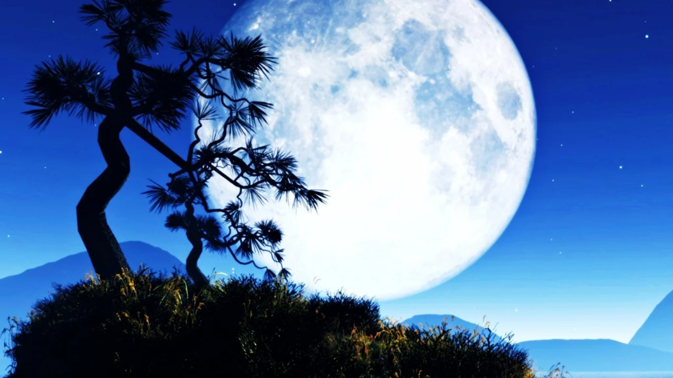 ночь, луна, Moon, trees, night, деревья