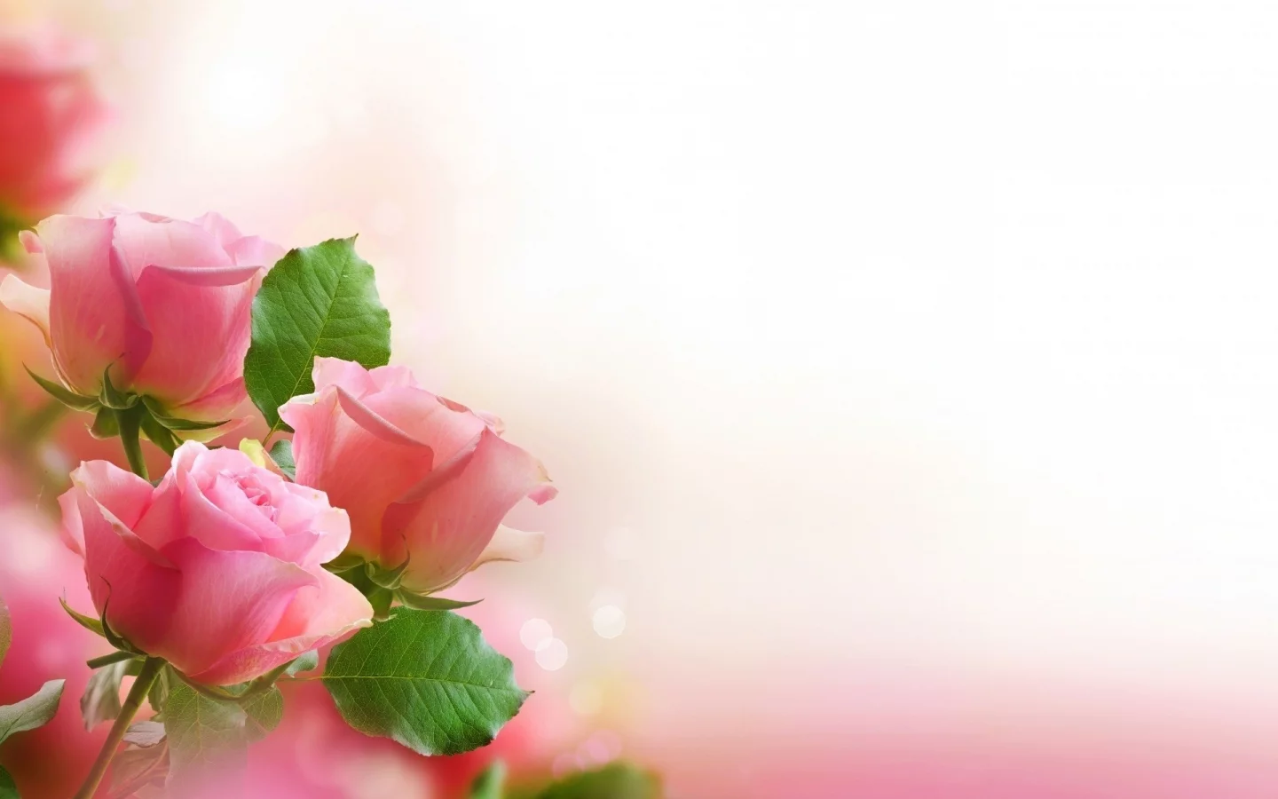 , flowers