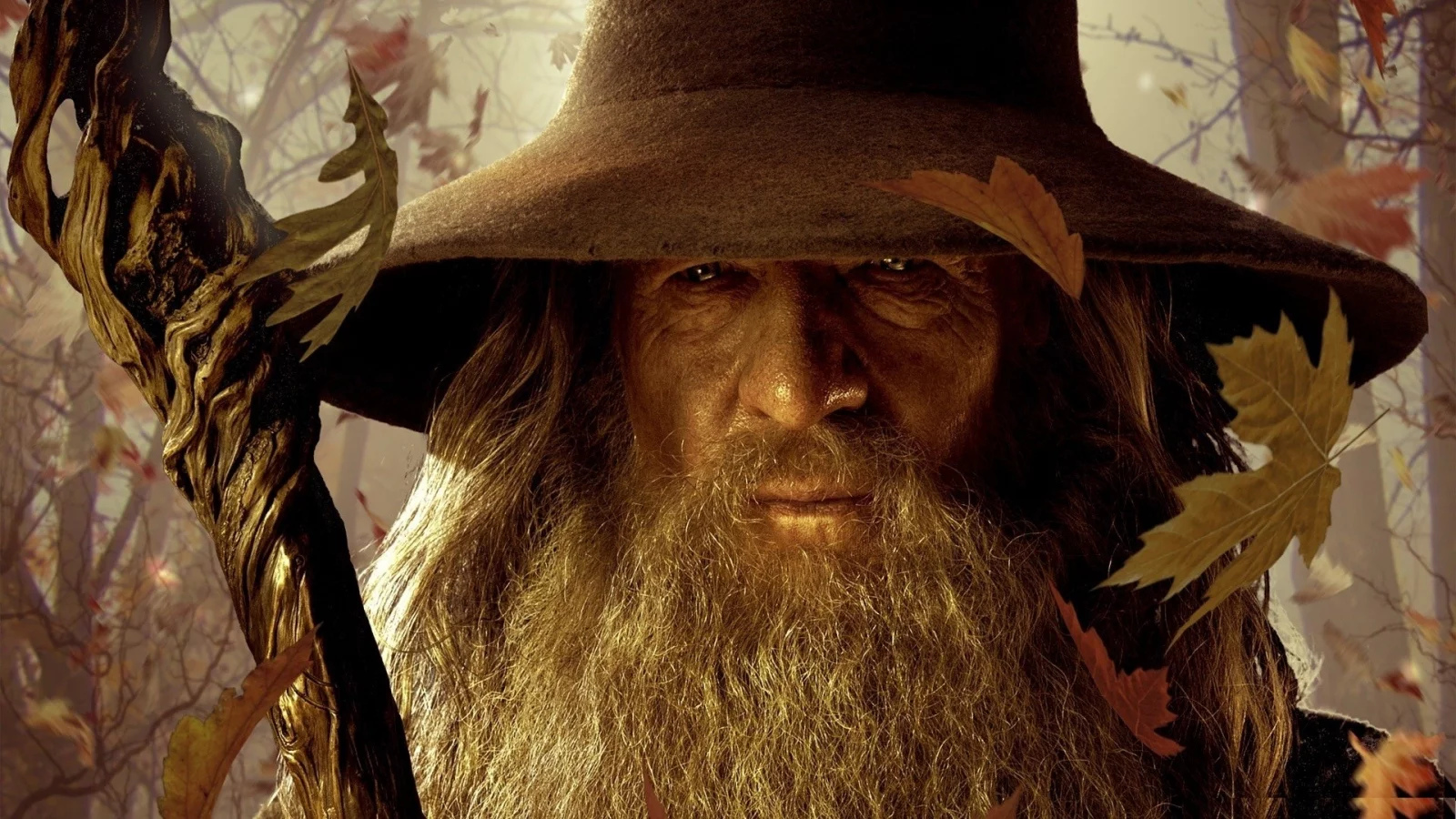 wizards, Gandalf, , lord of the rings battle for middle earth