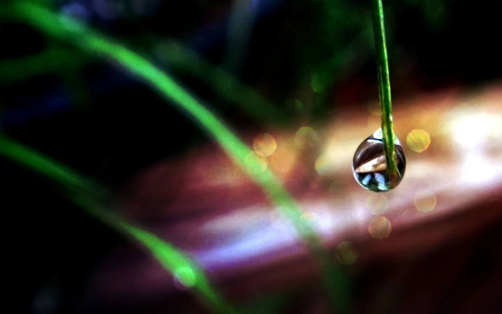 macro, макро, капли воды, water drops, grass, трава
