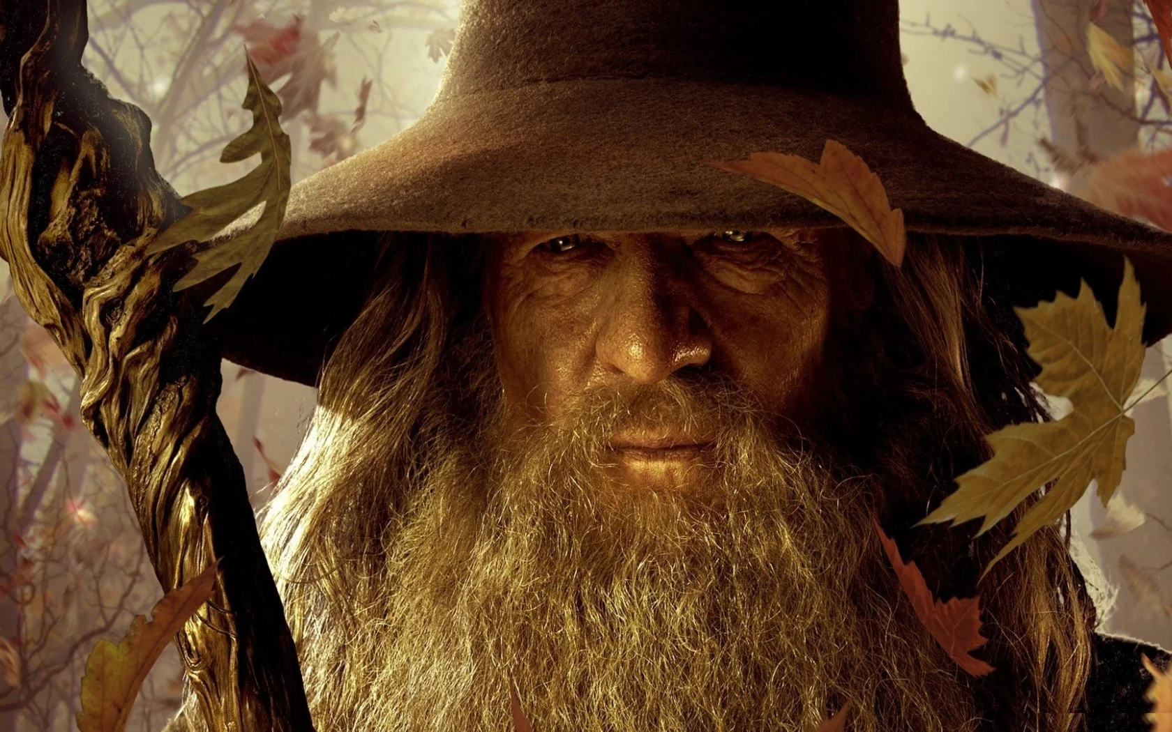 wizards, Gandalf, , lord of the rings battle for middle earth