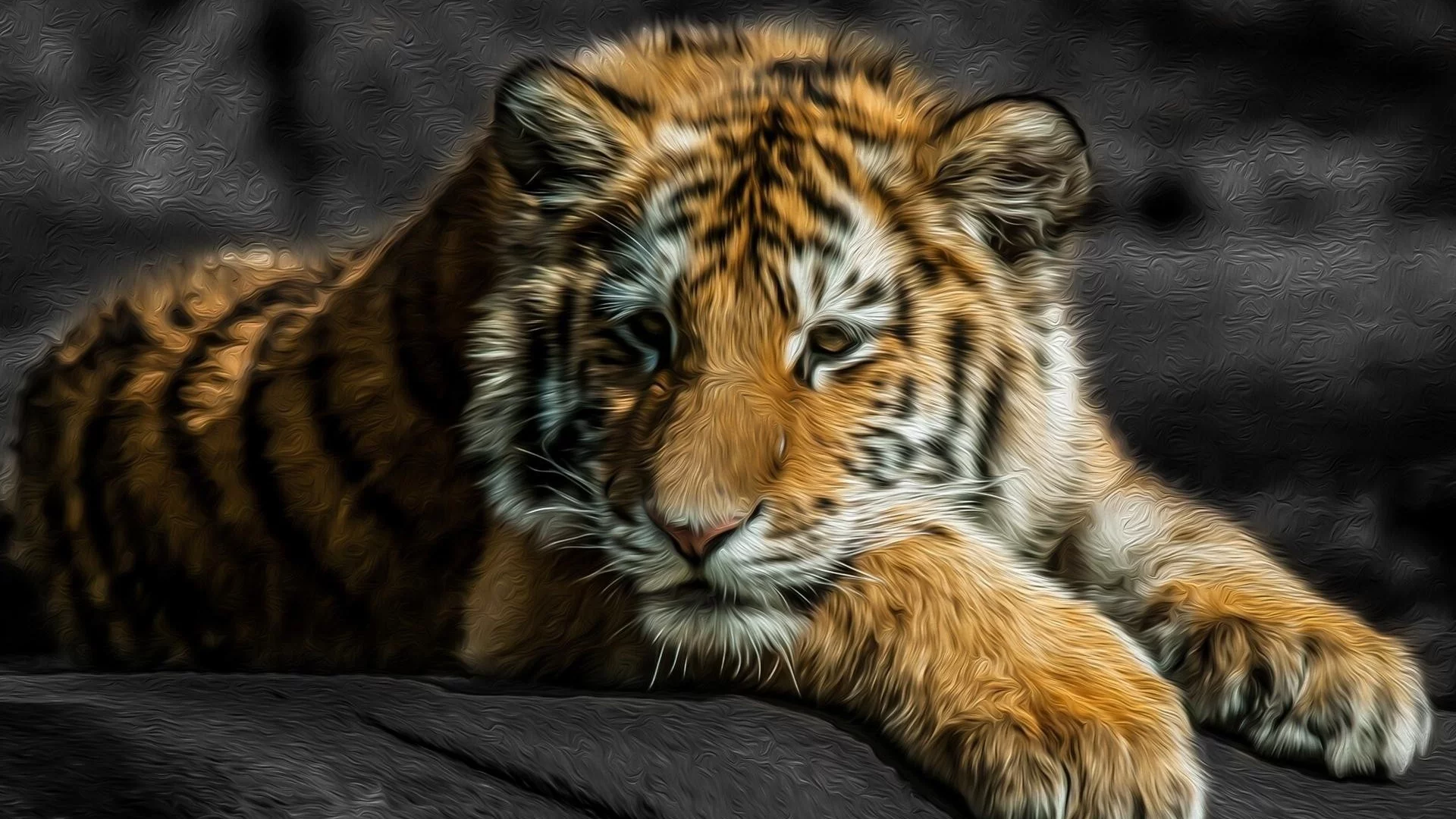 animals, tigers, stripes, животные, fur, big cats, большие кошки, мех, цвета брызги, color splash, полосы, тигры