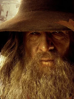 wizards, Gandalf, , lord of the rings battle for middle earth