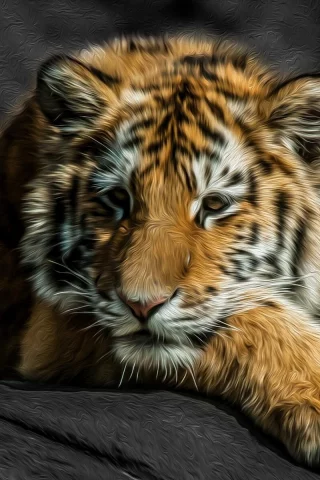 animals, tigers, stripes, животные, fur, big cats, большие кошки, мех, цвета брызги, color splash, полосы, тигры