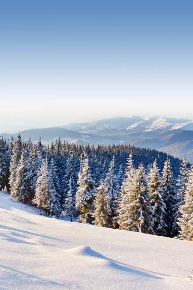 forest, winter, ice, moutain, mountains, snow, , trees, day
