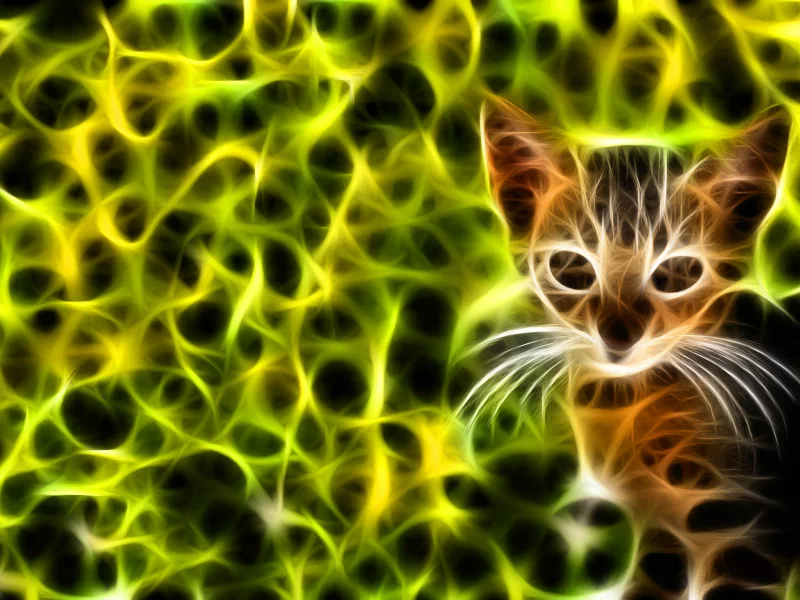 , kittens, feline, cats, fractalius, green, fractal