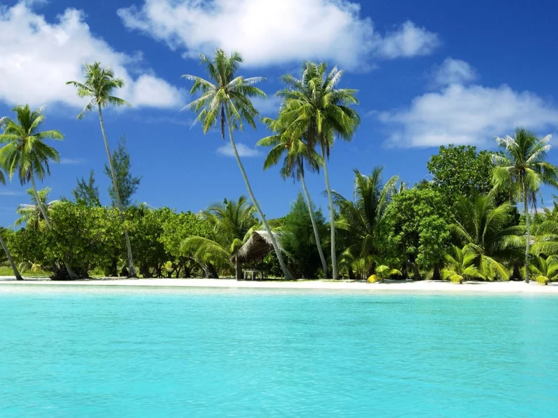 вода, water, тропические острова, tropical, trees, islands, деревья