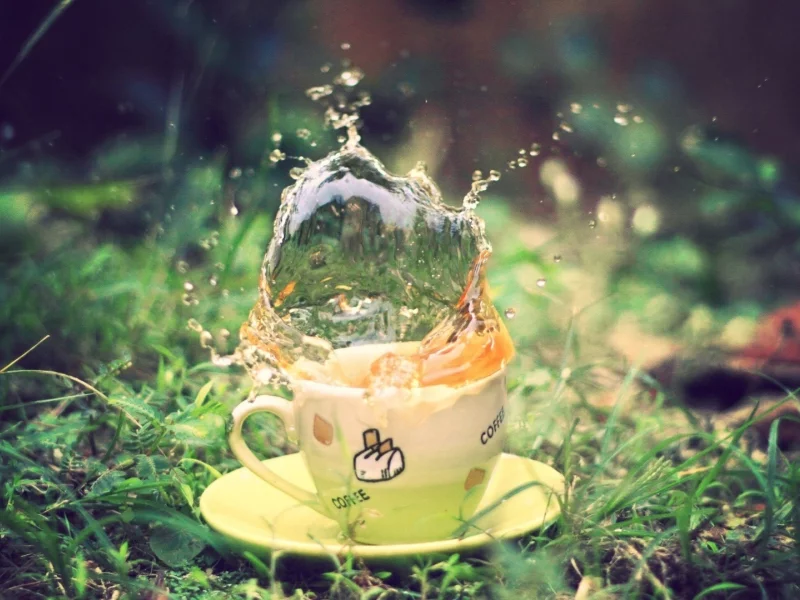 , macro