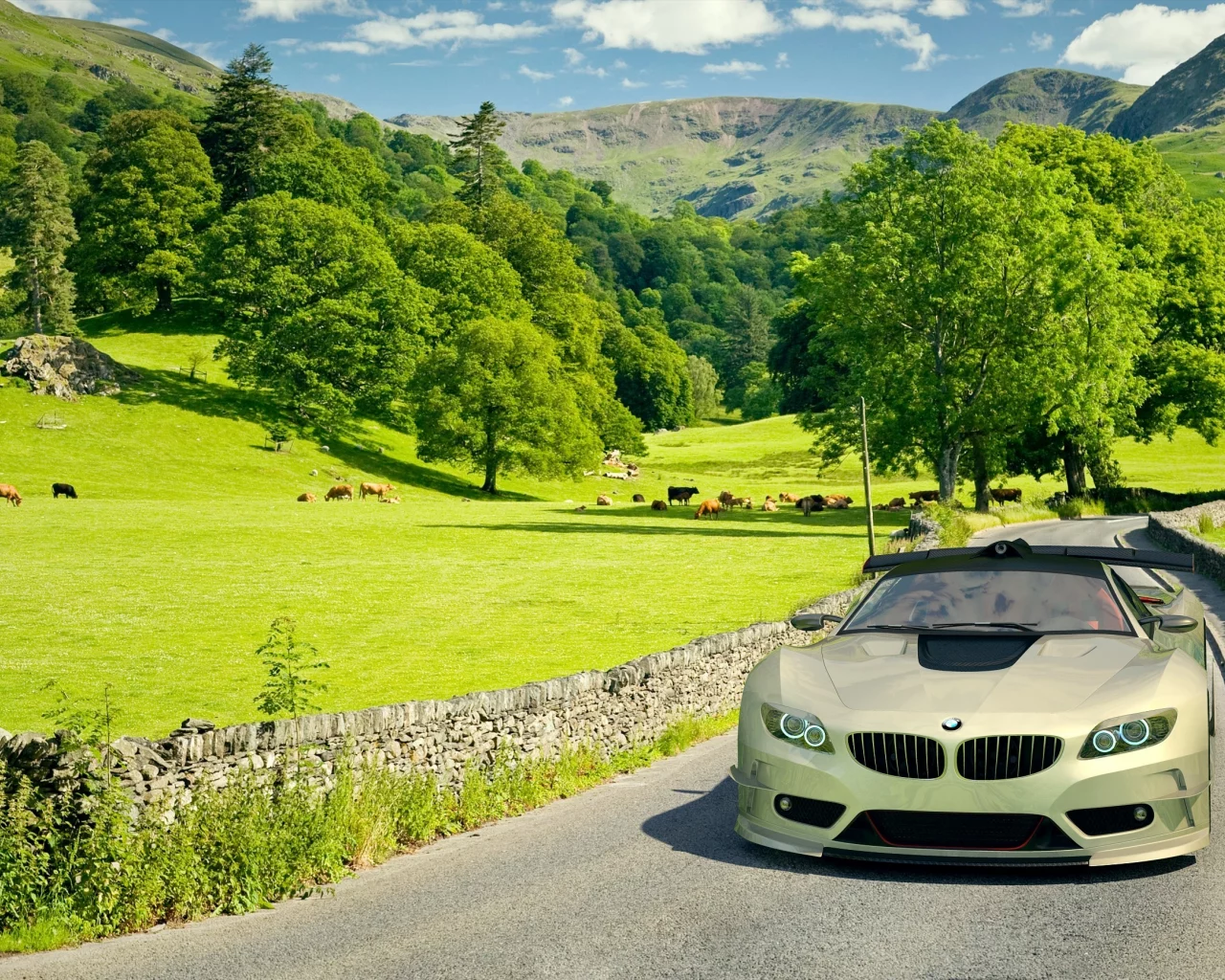 поле, автомобиль, car, машина, Bmw, бмв