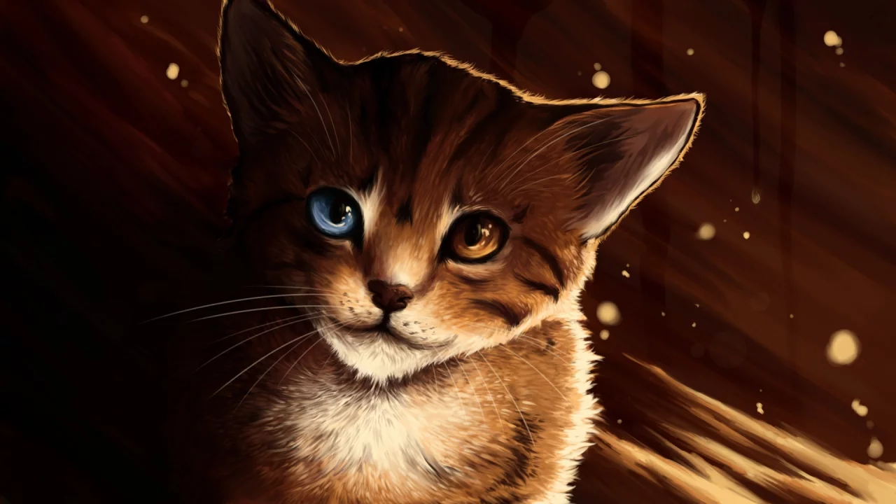 морда, разные глаза, lucity, кот, котэ, кошка, рыжий, Арт