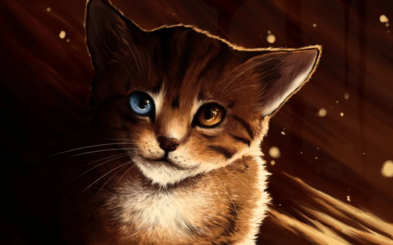 морда, разные глаза, lucity, кот, котэ, кошка, рыжий, Арт