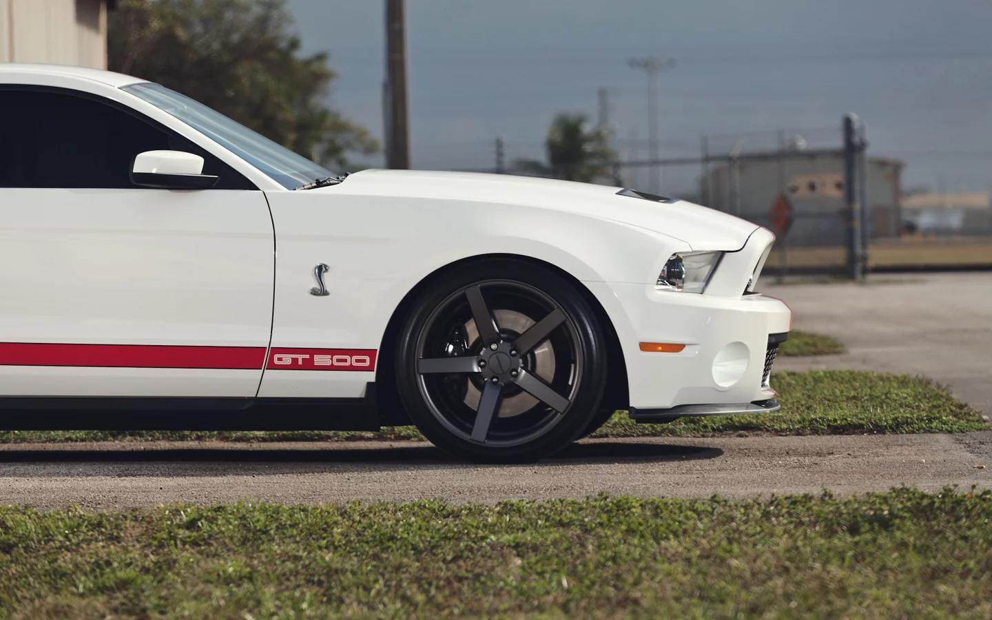 muscle car, мускул кар, белый, Ford, форд, gt500, mustang, мустанг, shelby
