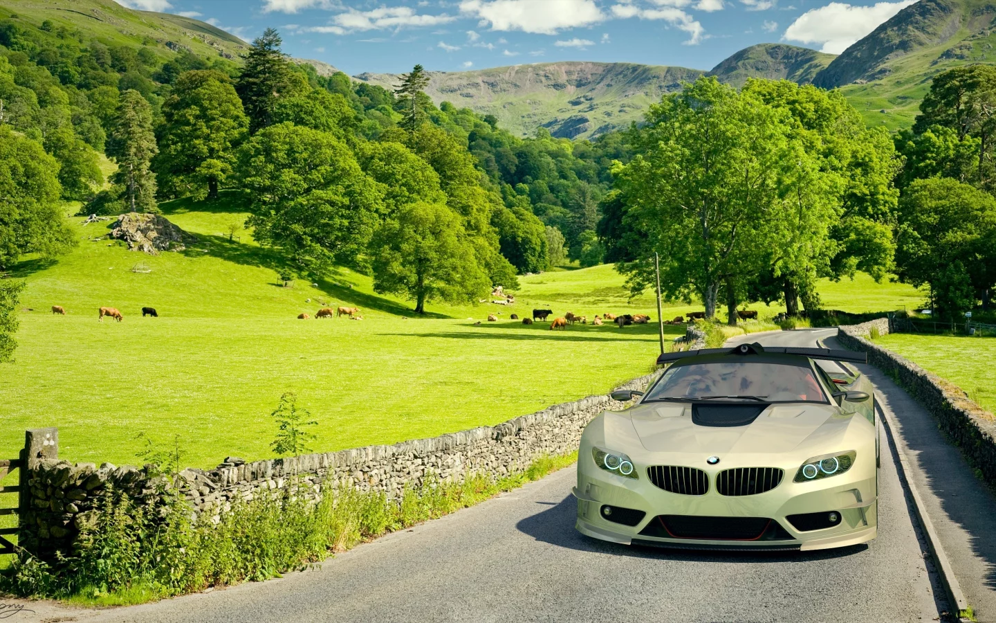 поле, автомобиль, car, машина, Bmw, бмв