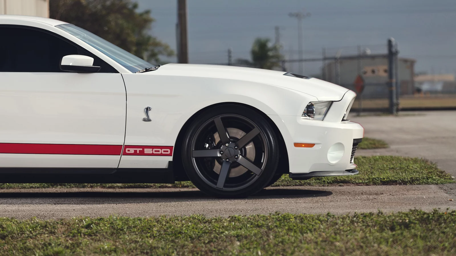 muscle car, мускул кар, белый, Ford, форд, gt500, mustang, мустанг, shelby