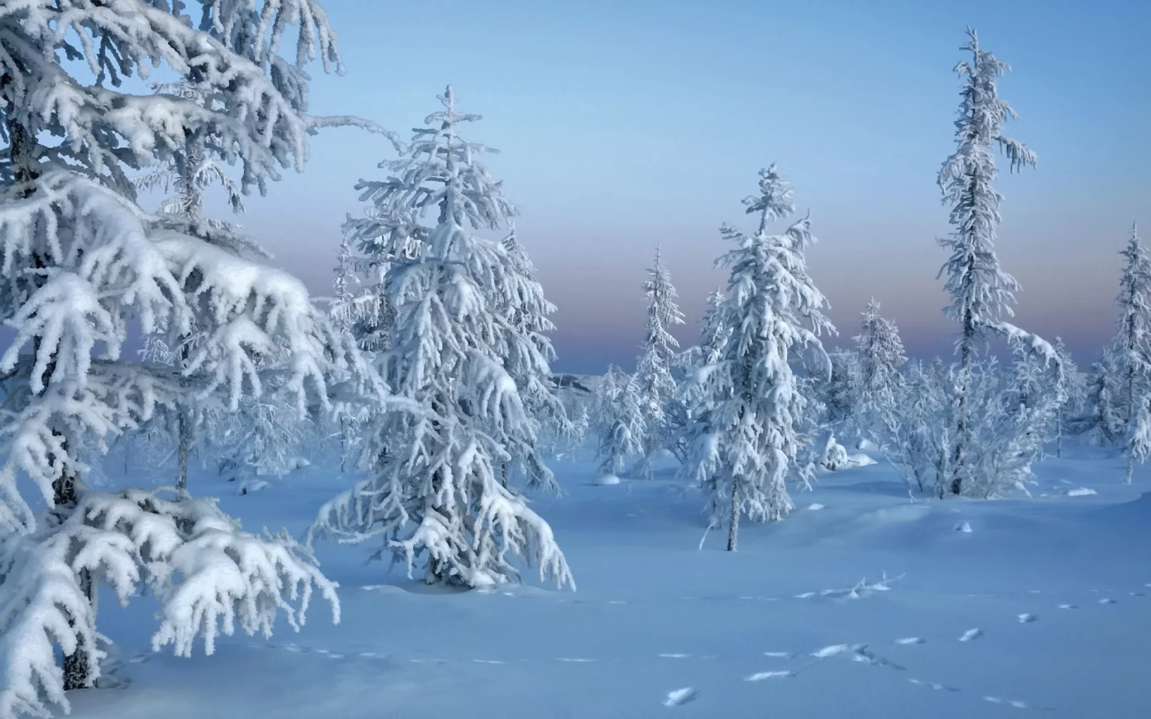 Зима, winter, природа, лес, trees in snow, снег