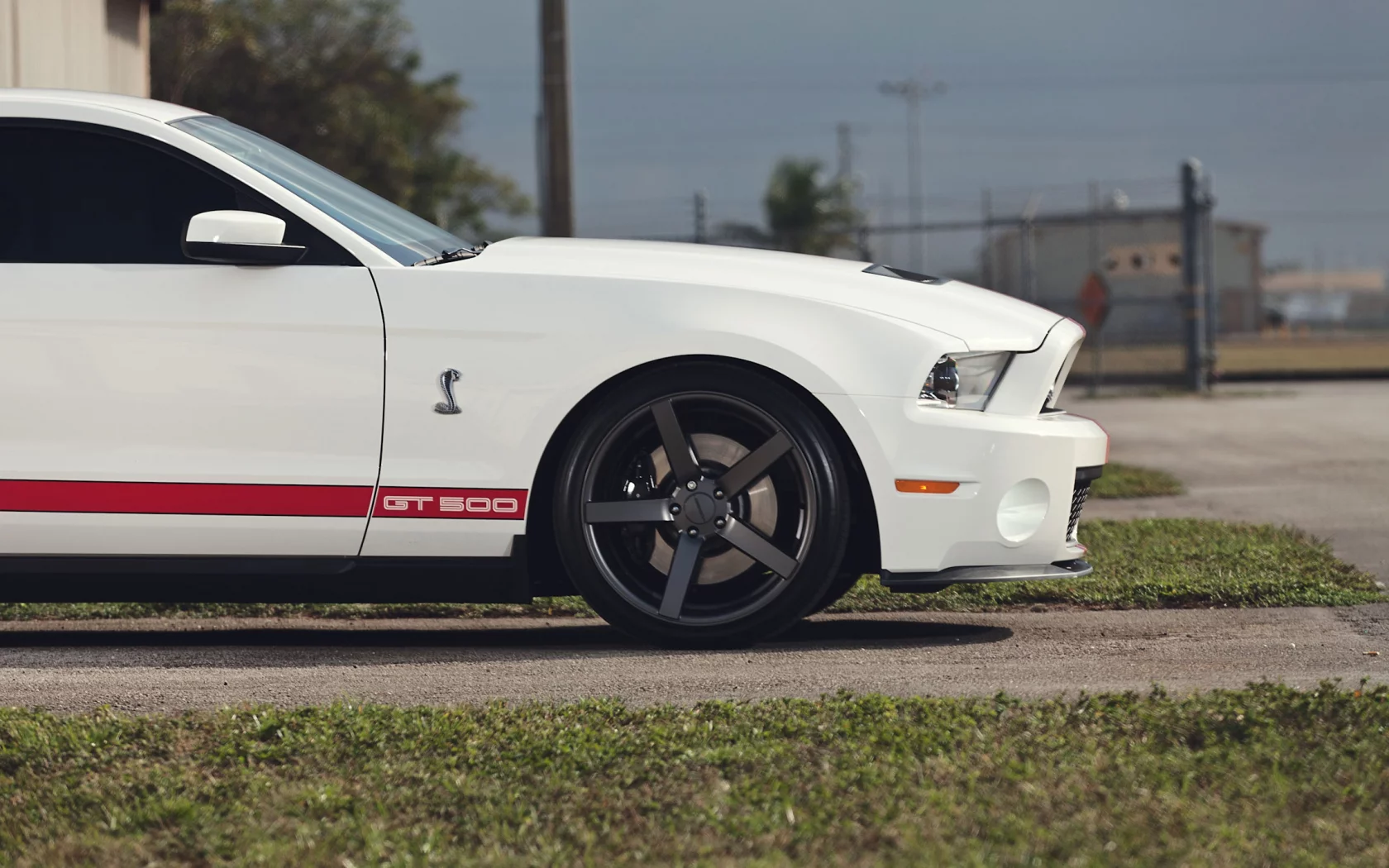 muscle car, мускул кар, белый, Ford, форд, gt500, mustang, мустанг, shelby