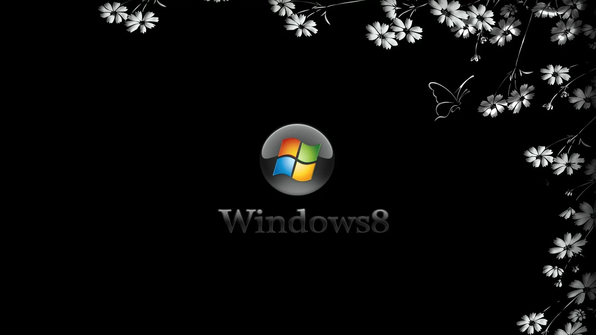 windows 8, фон, цветы, Чёрный