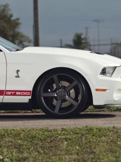 muscle car, мускул кар, белый, Ford, форд, gt500, mustang, мустанг, shelby