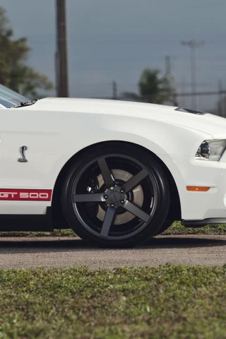muscle car, мускул кар, белый, Ford, форд, gt500, mustang, мустанг, shelby