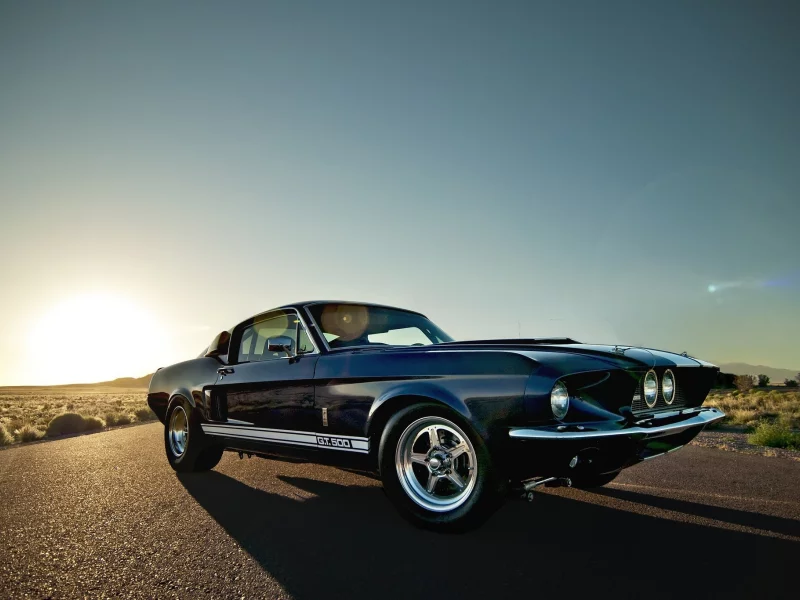 Ford, мустанг, mustang, gt 500, shelby, форд, шелби, дорога кусты