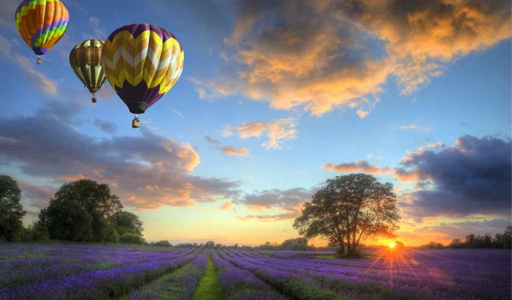 закат, balloons, облака, flowers, небо, field, пейзаж, Природа