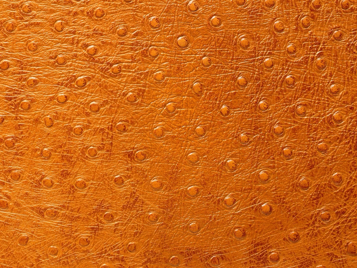 кожа, фон на рабочий, выделка, animal texture, Текстура