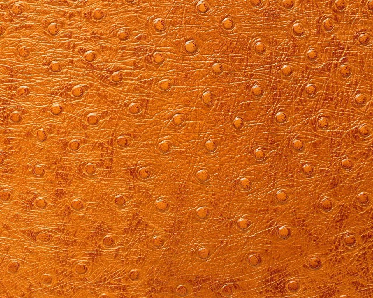 кожа, фон на рабочий, выделка, animal texture, Текстура