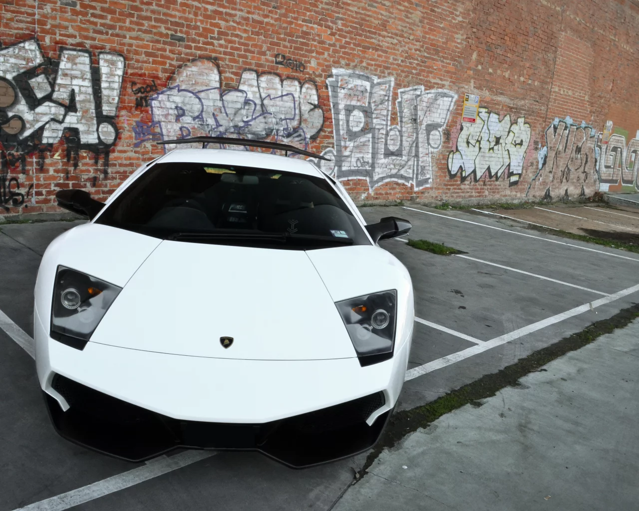 graffiti, Lamborghini, murcielago, white, wall, ламборгини, lp670-4 sv
